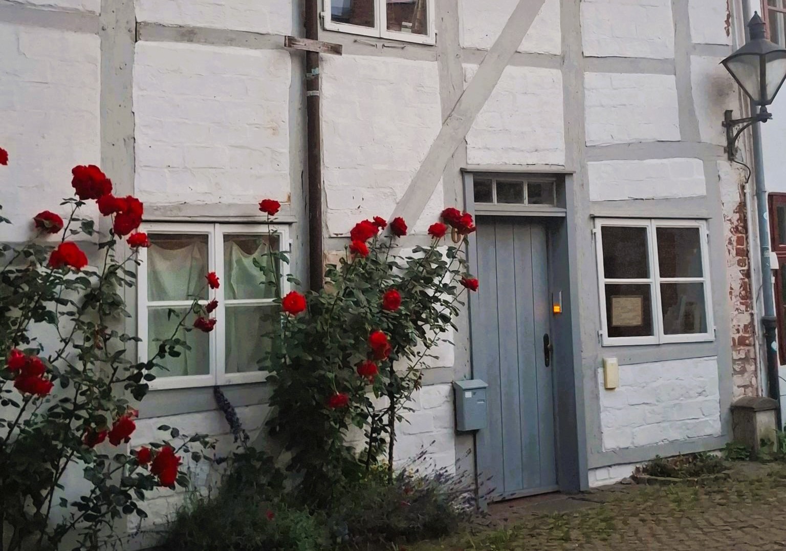 hausstrahlenzugeschnitten